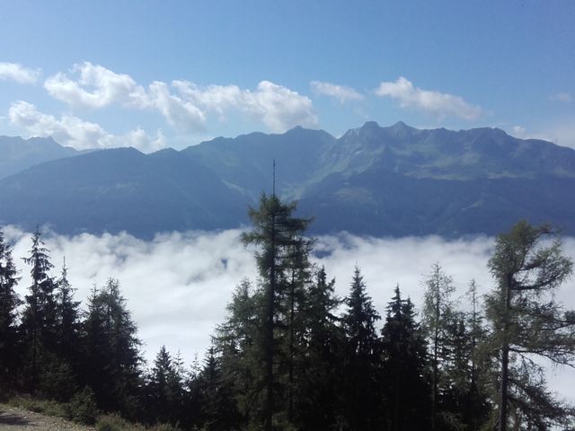 Energieparadies "Palfenhof" Bruck