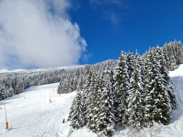 Energieparadies "Palfenhof" Bruck