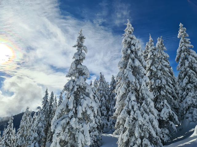 Energieparadies "Palfenhof" Bruck