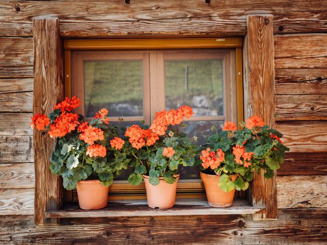 Appartements Martenhof