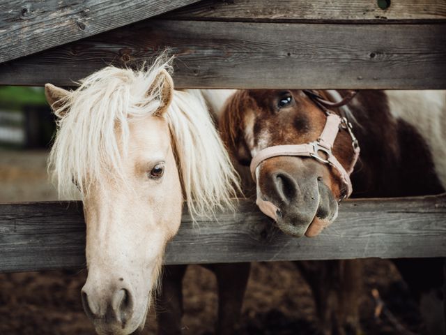 Appartements Martenhof